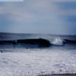 surfpics/shackleford.jpg
